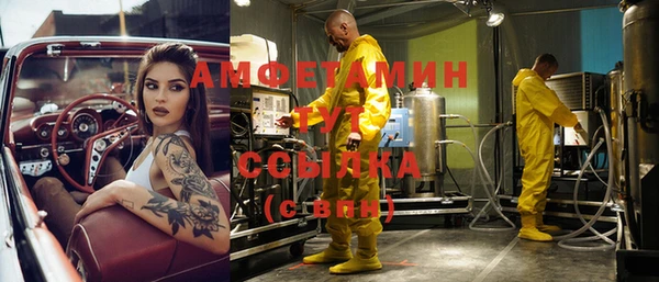 сатива Арсеньев