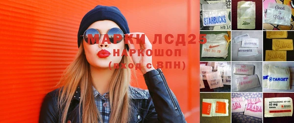 сатива Арсеньев